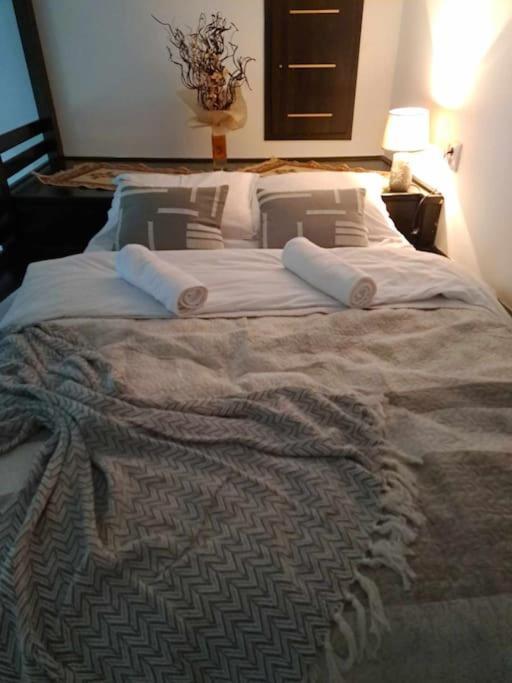 Sofia'S Home Comfy Studio In The Old Town Brasov Exterior photo